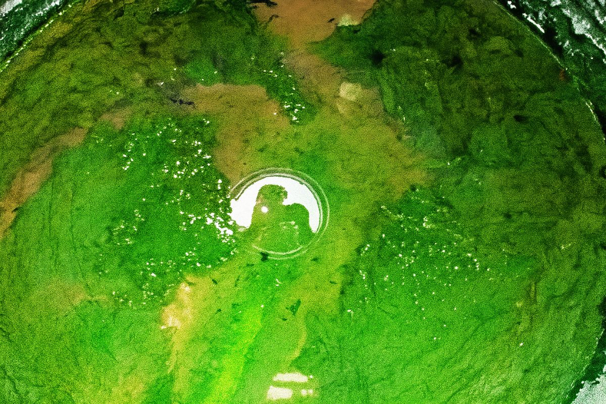 Algae growth and sludge buildup inside a dirty contaminated water tank before professional cleaning.